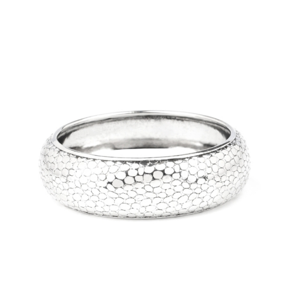 Paparazzi Urban Wildlife- Silver Bracelet